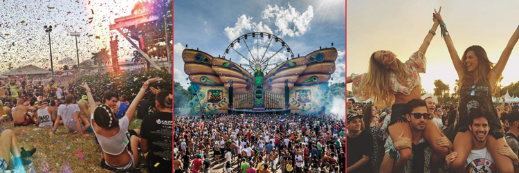 fotoboeken toffe festival foto's